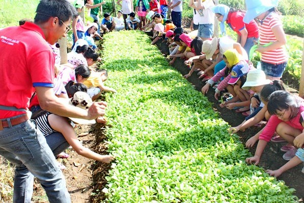 Cần rèn luyện kỹ năng sống cho học sinh vào dịp hè